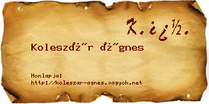 Koleszár Ágnes névjegykártya